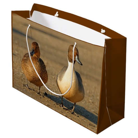 Funny American / Northern Pintail Ducks Gothic Groot Cadeauzakje (Achterkant Gekanteld)