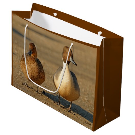 Funny American / Northern Pintail Ducks Gothic Groot Cadeauzakje (Voorkant Gekanteld)