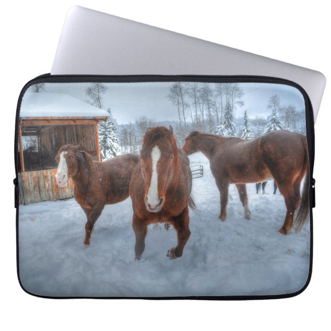 Funny Amoureuze Stallion en Reluctant Mare Horses Laptop Sleeve (Voorkant)