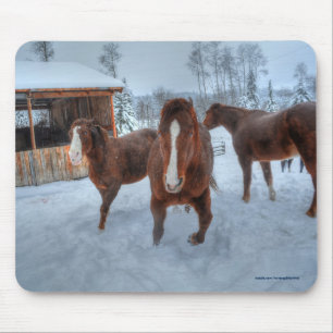 Funny Amoureuze Stallion en Reluctant Mare Horses Muismat