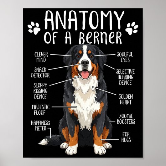 Funny Anatomy Bernese Mountain Dog Cute Berner Lov Poster (Voorkant)