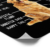 Funny Anatomy Golden Retriever Dog Lover Gift Poster (Hoek)