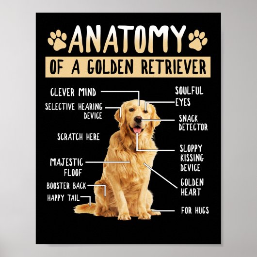 Funny Anatomy Golden Retriever Dog Lover Gift Poster (Voorkant)