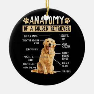 Funny Anatomy Golden Retriever Hondenliefhebber Gi Keramisch Ornament