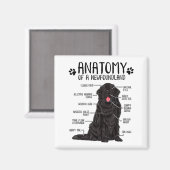 Funny Anatomy Newfoundland Dog Cute Newfie Lover Magneet (Voorkant / Achterkant)