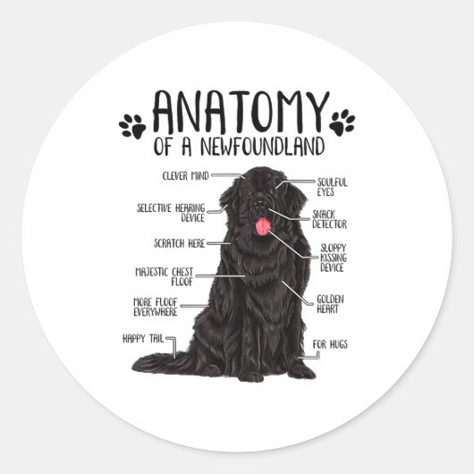 Funny Anatomy Newfoundland Dog Cute Newfie Lover  Ronde Sticker (Voorkant)