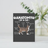 Funny Anatomy of a Cat Cute Kat Lover Pet Owner Briefkaart (Staand voorkant)