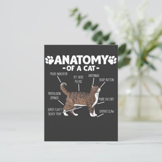 Funny Anatomy of a Cat Cute Kat Lover Pet Owner Briefkaart (Staand voorkant)