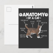 Funny Anatomy of a Cat Cute Kat Lover Pet Owner Briefkaart (Voorkant / Achterkant)