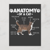 Funny Anatomy of a Cat Cute Kat Lover Pet Owner Briefkaart (Voorkant)