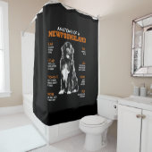 Funny Anatomy of a Newfoundland Dogs Douchegordijn (In situ)