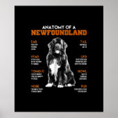 Funny Anatomy of a Newfoundland Dogs Poster (Voorkant)