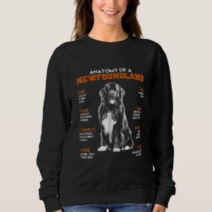 Funny Anatomy of a Newfoundland Dogs Trui