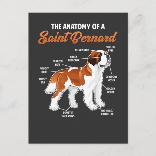 Funny Anatomy of a Saint Bernard Dog Animal Friend Briefkaart (Voorkant)