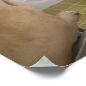 Funny and Cute Dog in de badkamer Poster (Hoek)