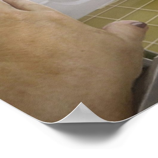 Funny and Cute Dog in de badkamer Poster (Hoek)