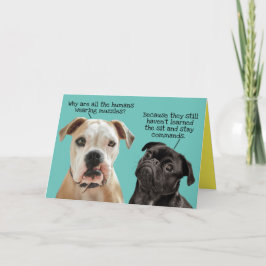 Funny and Cute Sit and Blijf bij honden tijdens pa Kaart
