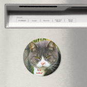 Funny ANGRY CAT gezegde, "NIET VANDAAG!" Magneet (Insitu (Vaatwasser))