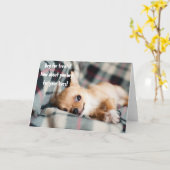 Funny Angry Chihuahua Beg voor het eten van levens Kaart (Gele Bloem)