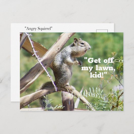 Funny Angry Squirrel Briefkaart (Voorkant / Achterkant)