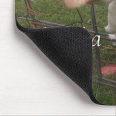 Funny Animal Afbeeldingen Muismat (Hoek)