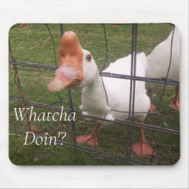 Funny Animal Afbeeldingen Muismat