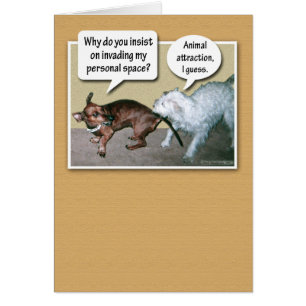 Funny Animal Attraction