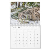 Funny Animal Calendar Kalender (Jan 2026)
