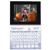 Funny Animal Calendar Kalender (Feb 2027)