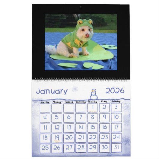 Funny Animal Calendar Kalender (Jan 2026)