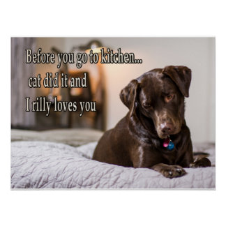 Funny animal memes Dog memes Humoureuze foto's Perfect Poster