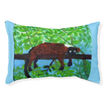 Funny Animal Red Lemur Relaxing