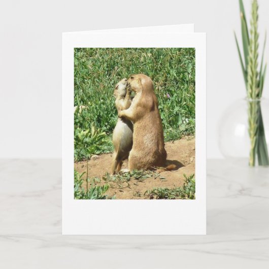 Funny Animal Valentine Feestdagen Kaart (Voorkant)