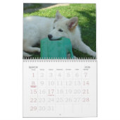 Funny Animals 2012-kalender Kalender (Mar 2026)