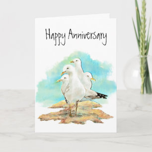 Funny Anniversary, From Group of Seagulls, birds Kaart