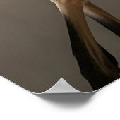 Funny Antelope Bathroom Print, Toilet Newspaper Poster (Hoek)