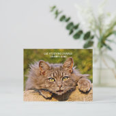 Funny Anti-Trump Cat Studie Trump's Hair Briefkaart (Staand voorkant)