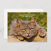Funny Anti-Trump Cat Studie Trump's Hair Briefkaart (Voorkant / Achterkant)