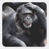 Funny Ape Sticker (Voorkant)