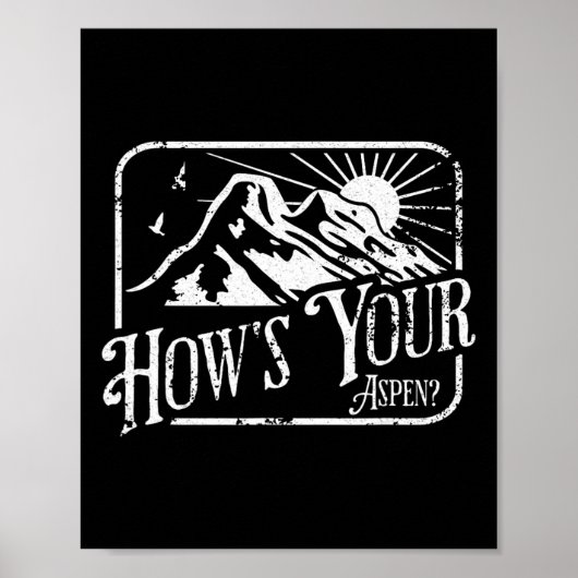 Funny Aspen Colorado Ski Skiing How's Your Aspen Poster (Voorkant)
