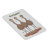 Funny Australian emu trio cartoon illustratie Magneet (Rechterzijde)