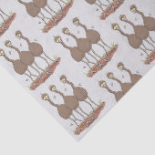 Funny Australian emu trio cartoon illustratie Tissuepapier (Detail)