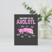 Funny Axolotl Anatomy Biology Cute Amphibian Briefkaart (Staand voorkant)