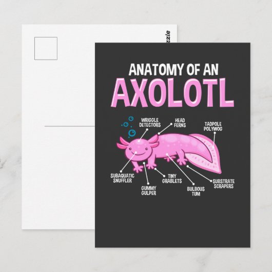 Funny Axolotl Anatomy Biology Cute Amphibian Briefkaart (Voorkant / Achterkant)