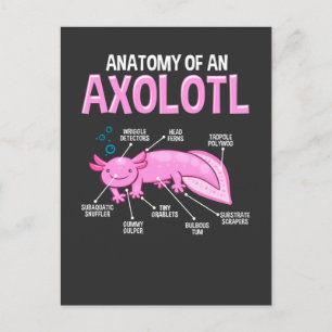 Funny Axolotl Anatomy Biology Cute Amphibian Briefkaart