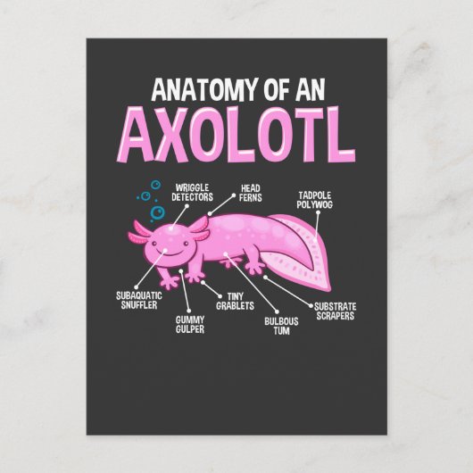 Funny Axolotl Anatomy Biology Cute Amphibian Briefkaart (Voorkant)