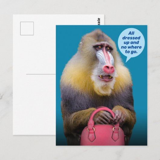 Funny Baboon is helemaal gekleed. Briefkaart (Voorkant / Achterkant)
