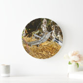 Funny Baby Bearded Dragon, Wall Clock Grote Klok (Huis)