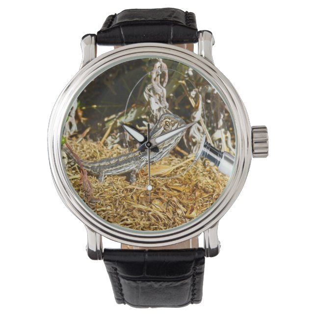 Funny Baby Bearded Dragon, Wrist Watch Horloge (Voorkant)