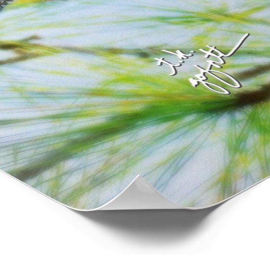 Funny Baby Great Horned Owls Wildlife Fine Art Poster (Hoek)